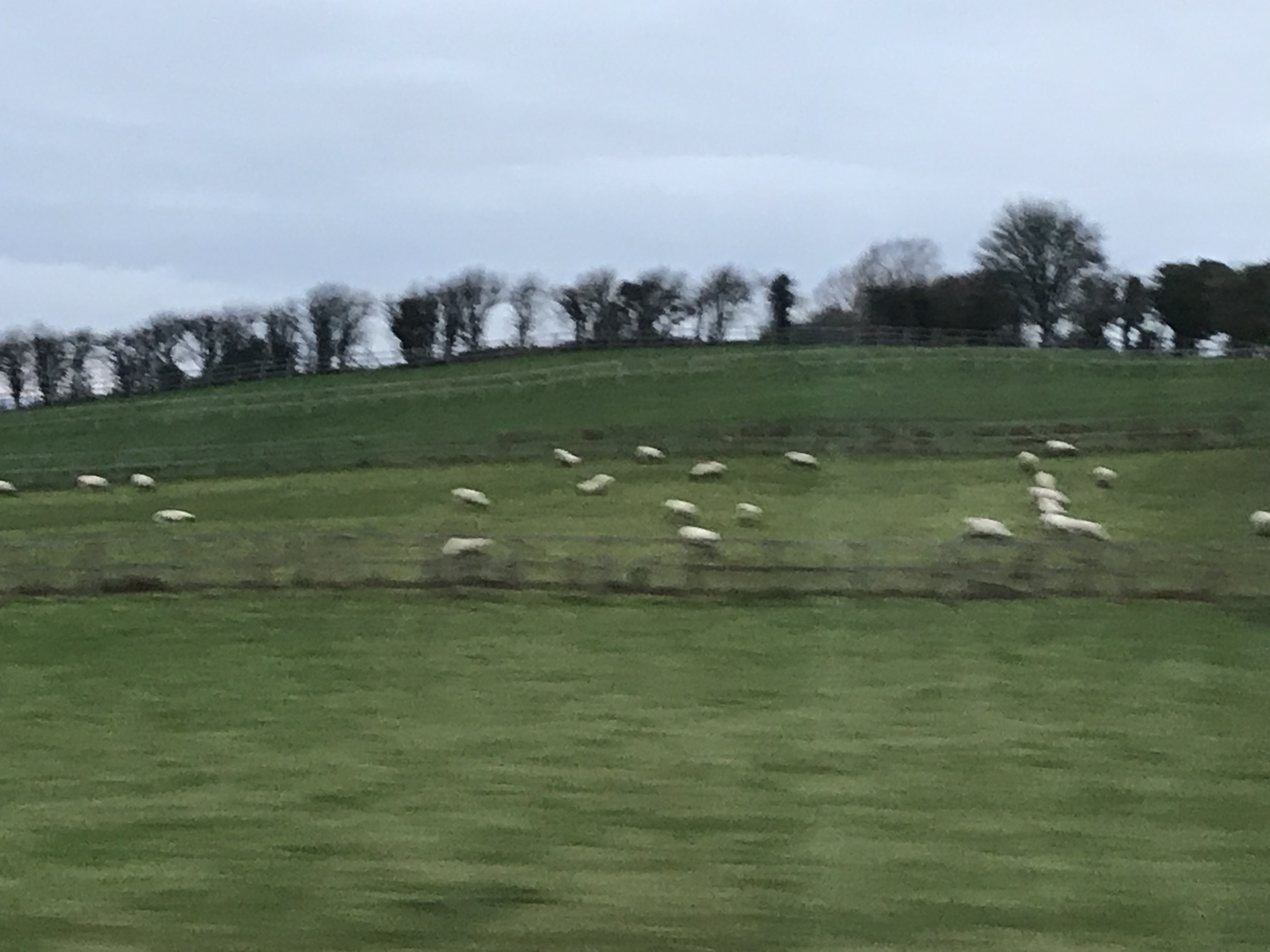 ./2018/15 - London/04 - Day 4/IMG_9402.jpg